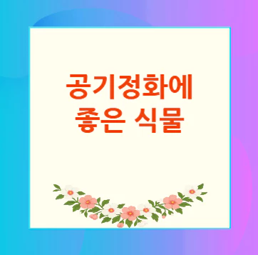 공기정화식물