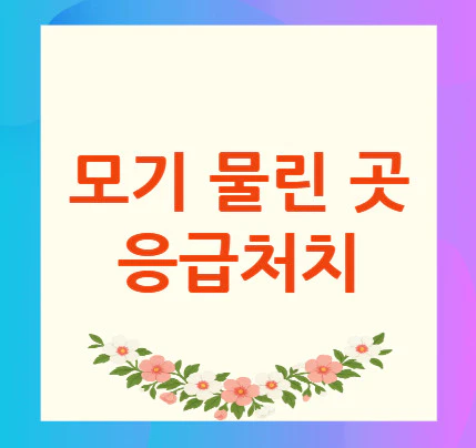 모기-물린-곳-응급처치