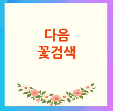 다음-꽃검색