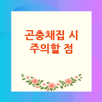 곤충채집-주의