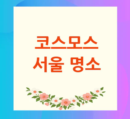 코스모스-서울-명소
