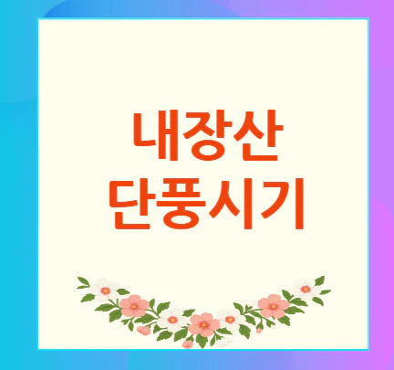 내장산-단풍시기