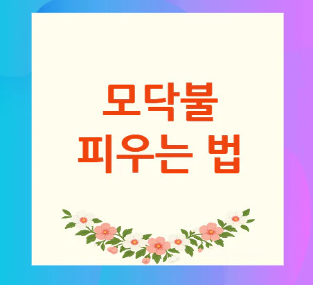모닥불-피우는-법