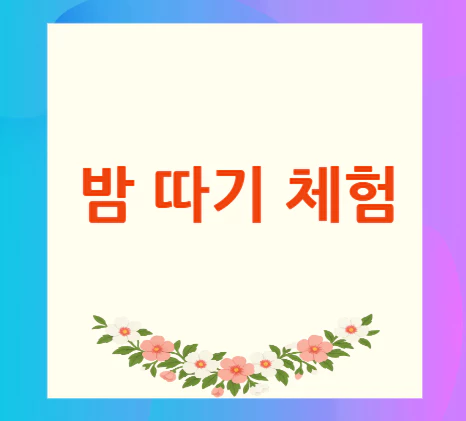 밤-따기-체험