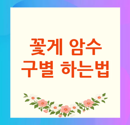 꽃게-암수