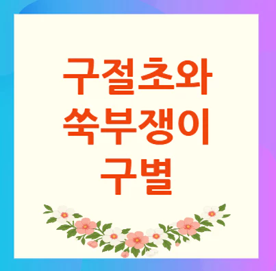 구절초-쑥부쟁이-구별