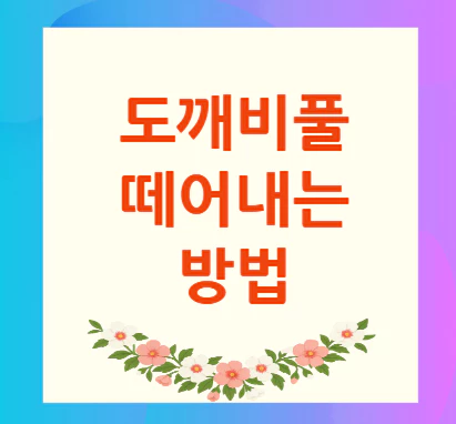 도깨비풀-떼어내는-방법