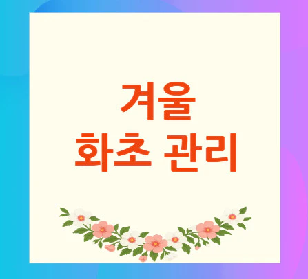 겨울-화초-관리