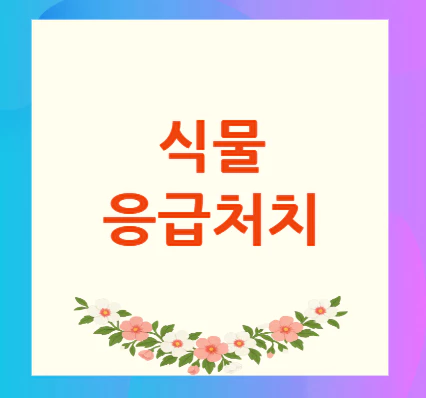 식물-응급처치