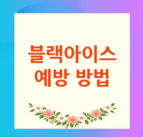 블랙아이스-예방-방법
