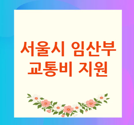 서울시-임산부-교통비-지원