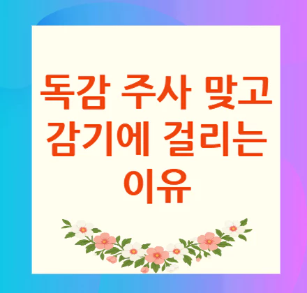 독감-주사-맞고