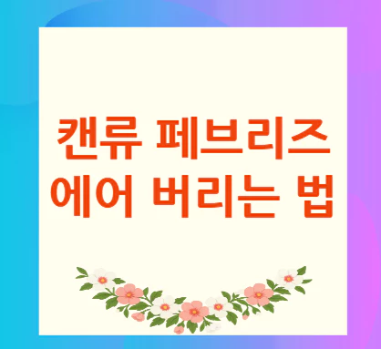 캔류-페브리즈-에어-버리는-법