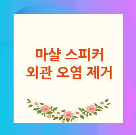 마샬-스피커-오염-제거