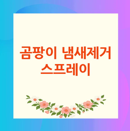 곰팡이-냄새제거