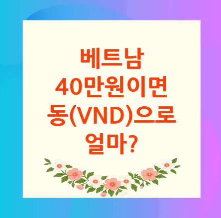 베트남-40만원
