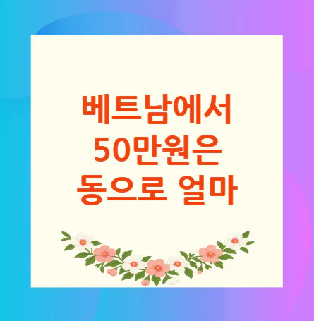베트남-50만원