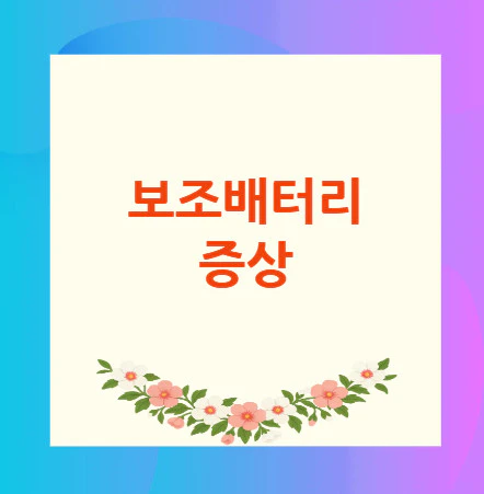 보조배터리-증상