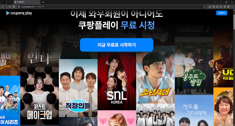 쿠팡플레이