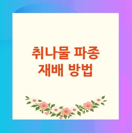 취나물-파종