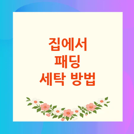 패딩-세탁-방법