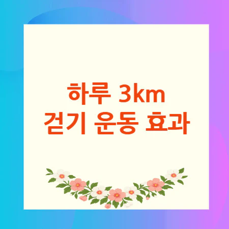 하루-3km-걷기