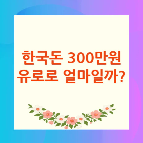 300만원-유로