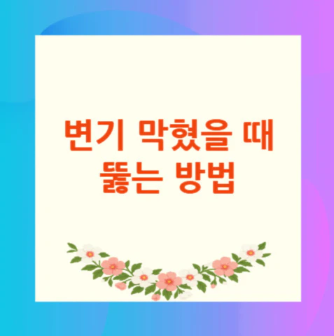 변기-막혔을-때-뚫는-방법