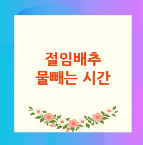 절임배추-물빼는-시간