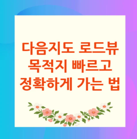 다음지도-로드뷰