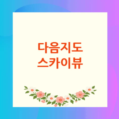 다음지도-스카이뷰